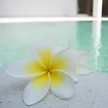 Kerala Spa Treatment